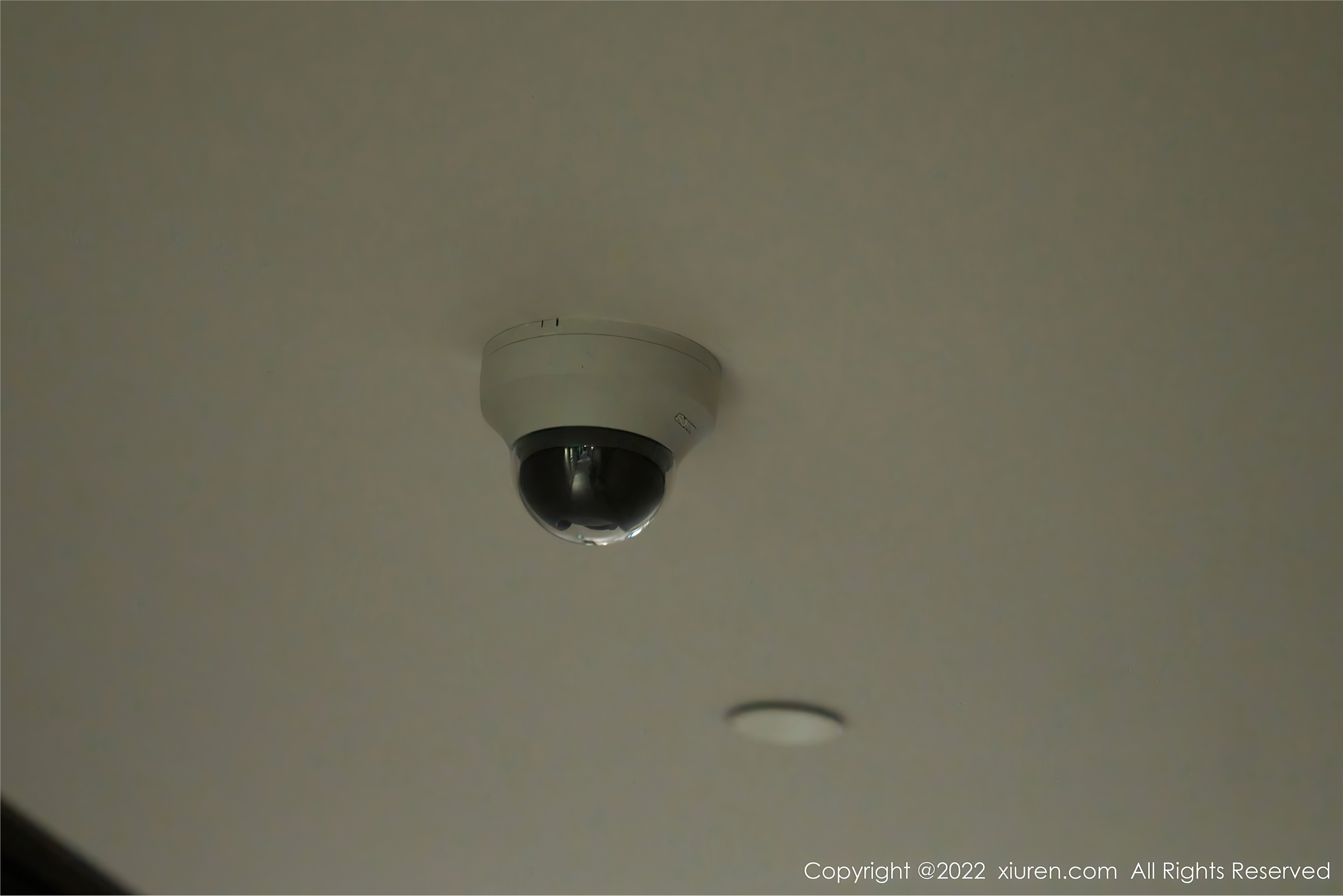 Xiuren秀人网 2022.01.26 NO.4517 周于希Sally